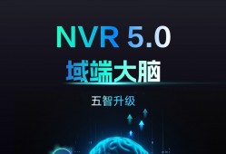  海康威视超脑/智脑(NVR5.0)