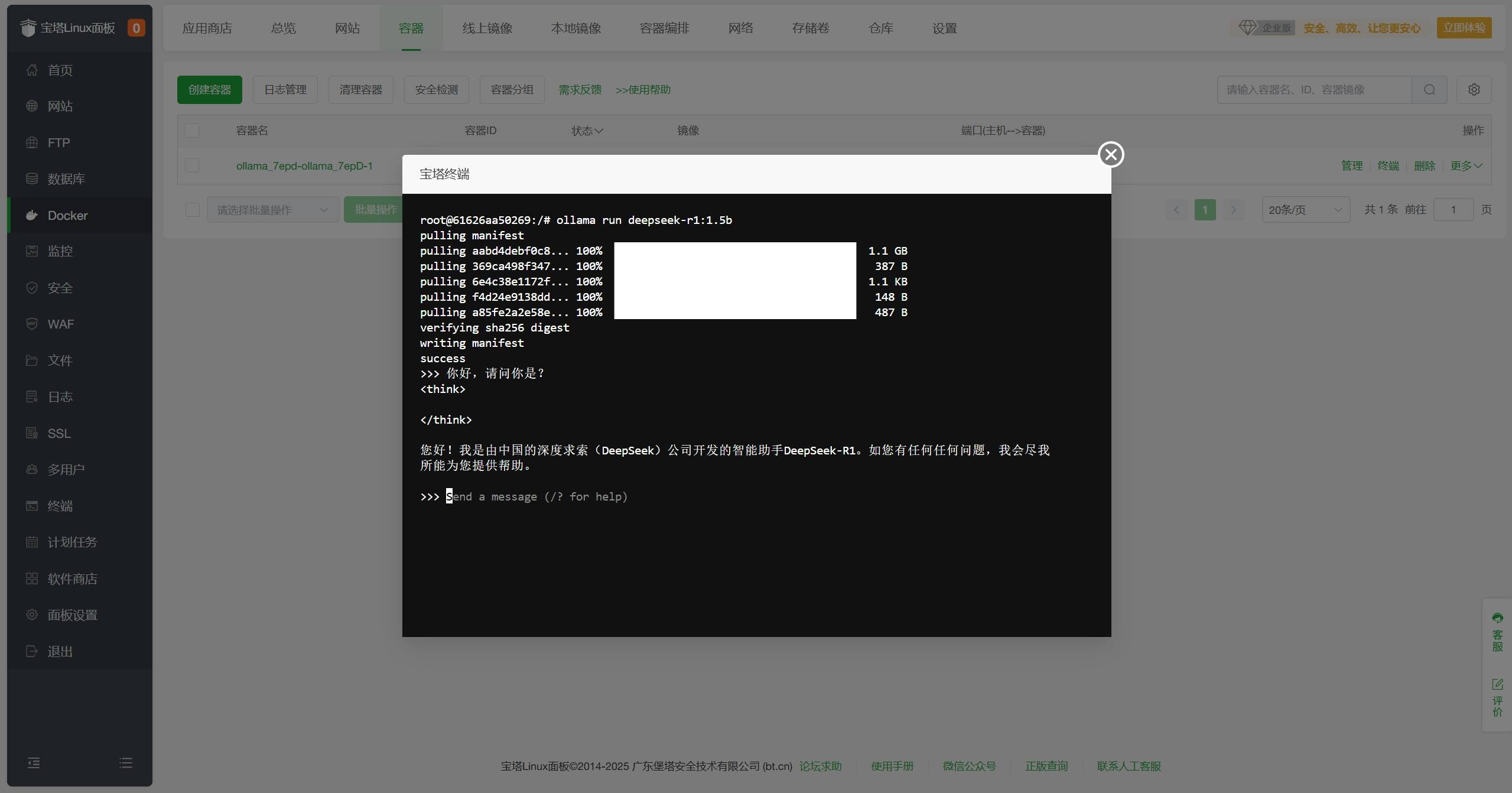 使用宝塔面板部署一个属于自己的 DeepSeek